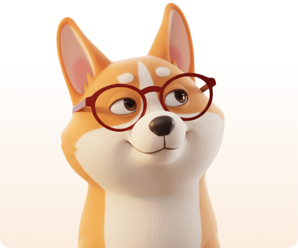 корги в очках смотрит вверх